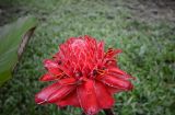 MEX_0124.jpg